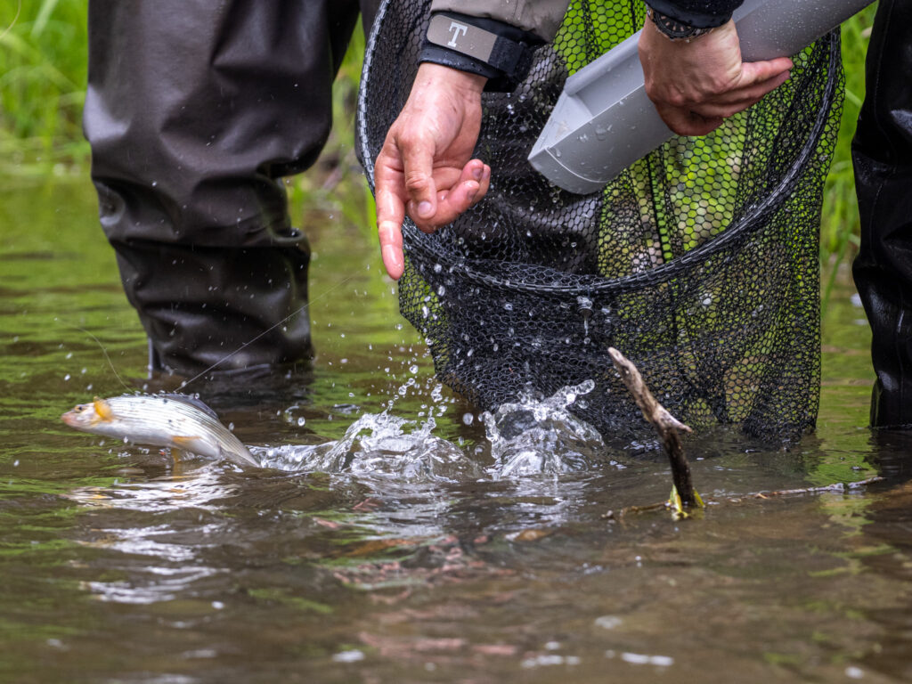 Žemaitijos taurė 2025